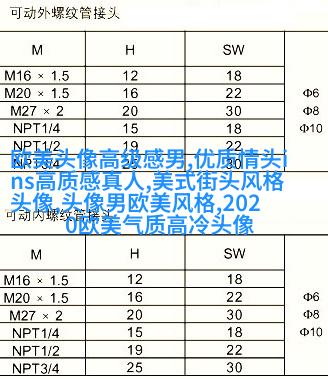 欧美御姐头像高冷气质头像(共18张)