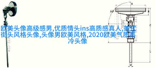 欧美御姐头像高冷气质头像(共18张)